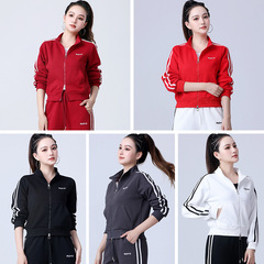 B2425 #    トップスとパンツのすべての単品のコレクション