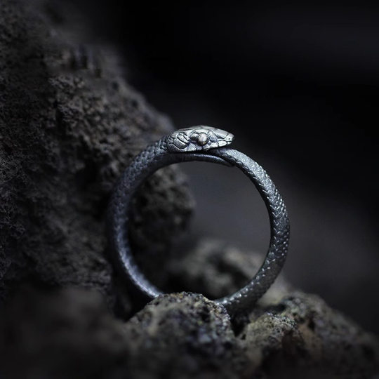 Ouroboros Living Ring Men's Niche Retro Street High-End Personalized Design Hand Jewelry Couple Women's Gift Hand Jewelry