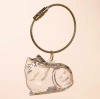 Серебристый тигровый кот