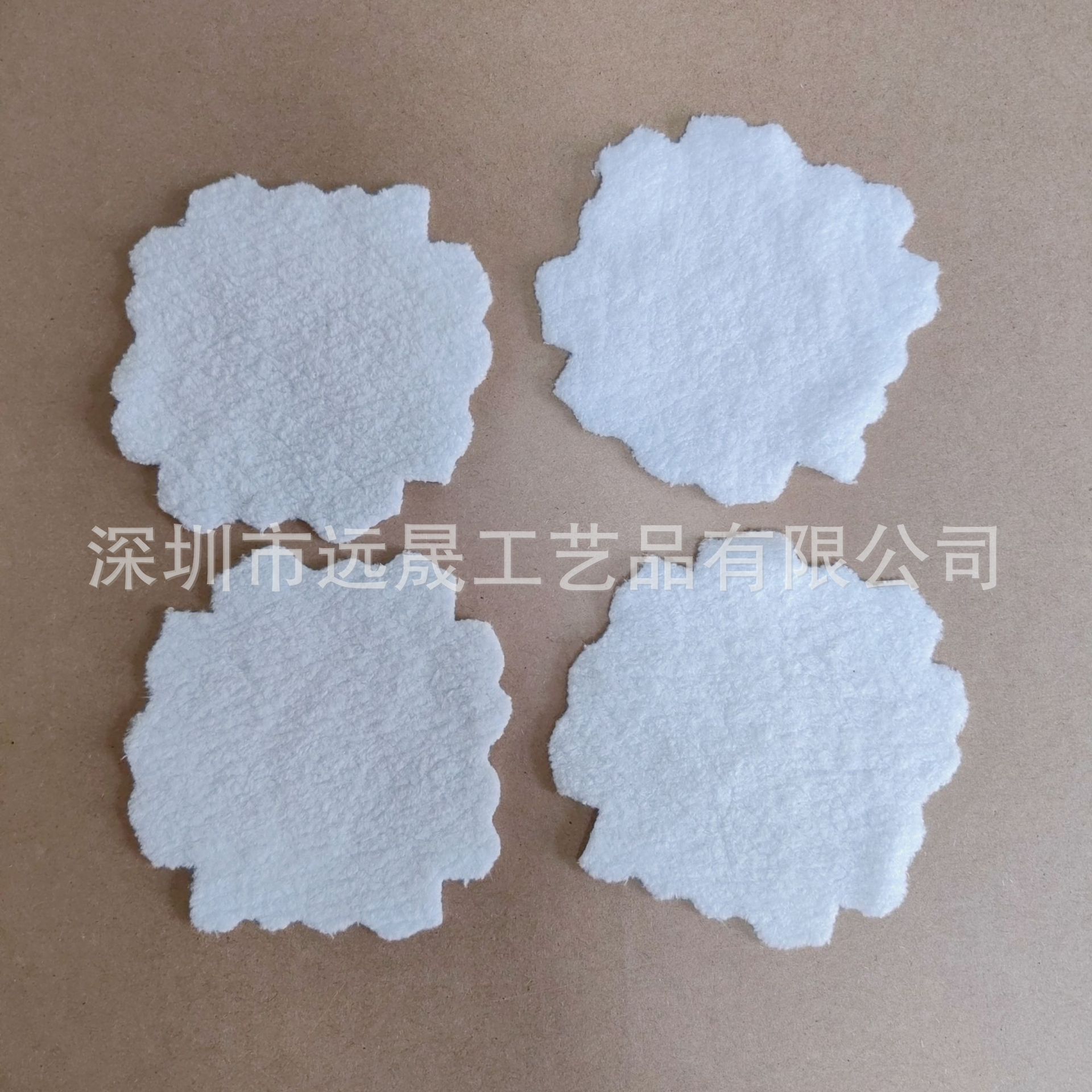 B612Kaji_20240804_132007_580