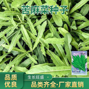 ����˷N�������Ұ�˿������r��ˈ@�ļ����߲˷N�������߲���