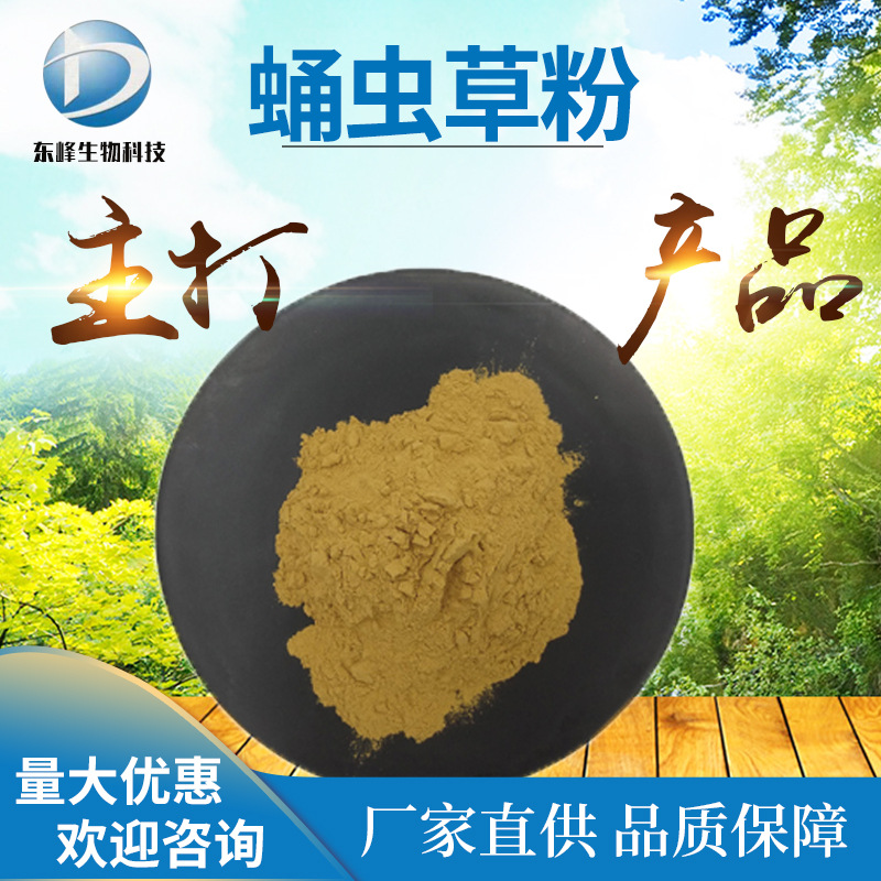 现货98%蛹虫草粉 蛹虫草提取物量大优惠虫草多糖源头货源蛹虫草粉