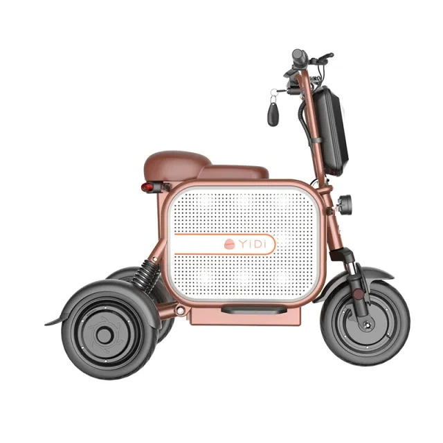 Electric Tricycle 11-Inch Tire 500W 1000W Pet Carrier