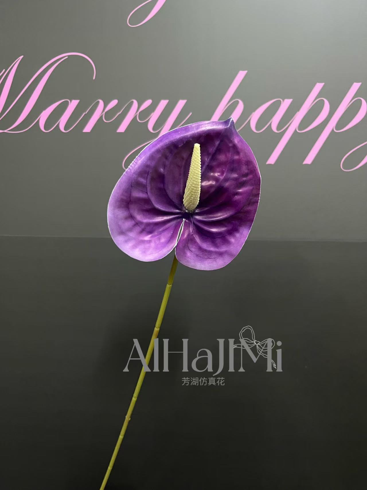 微信图片_20250218094418