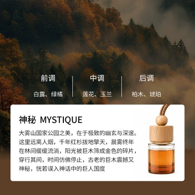 Car Perfume Aromatherapy Car Interior Fragrance Perfume - mystiquemysterious-10ml