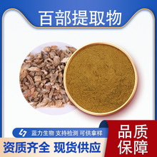百部提取物  蓝力生物 百部粉 百部生物碱 植物百部浓缩粉现货