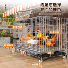 ������÷����ش�̖�\���Z�ۯB�F�z�W�u���҃��u�\���Bֳ�r��