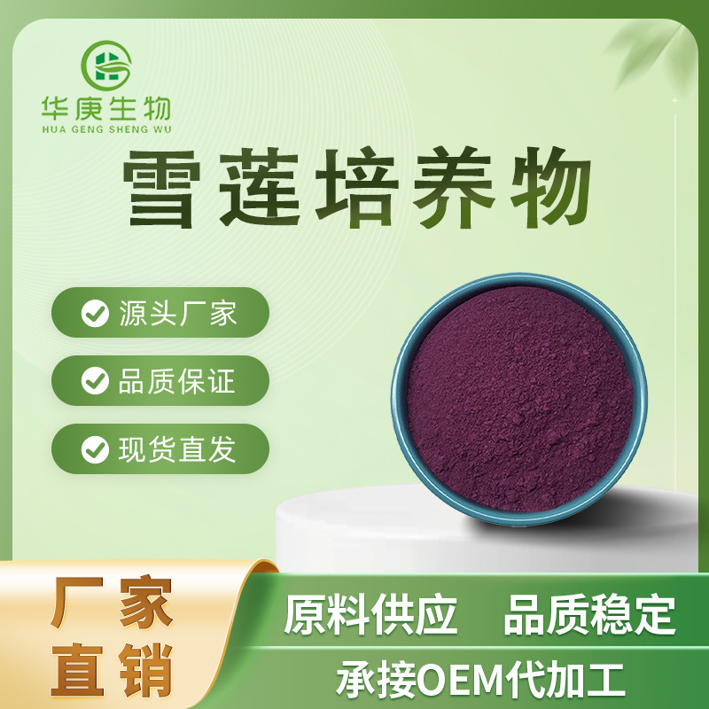 雪莲培养物 99% 天山雪莲花萃取物 雪莲培养物 新资源  欢迎订购