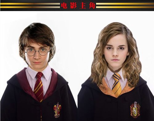 HP accessories without badges, tie, four colors