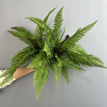 15头大羊齿蕨高仿真蕨类植物肾蕨大蕨草波斯叶排草森系婚礼布置
