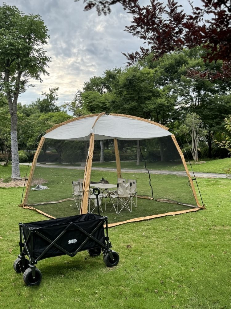 a94dbbc7-462b-4caa-8627-947adc2f3726.jpe