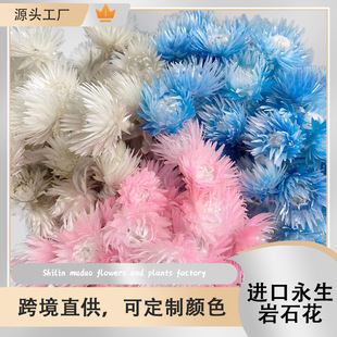 �M����ʯ����ѩɏ�������ɻ������Ӽҕ���ܛ�b�b�DIY�����ɻ�