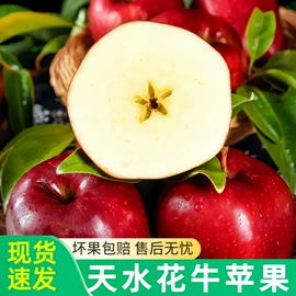 块茎类;其他水果;梨