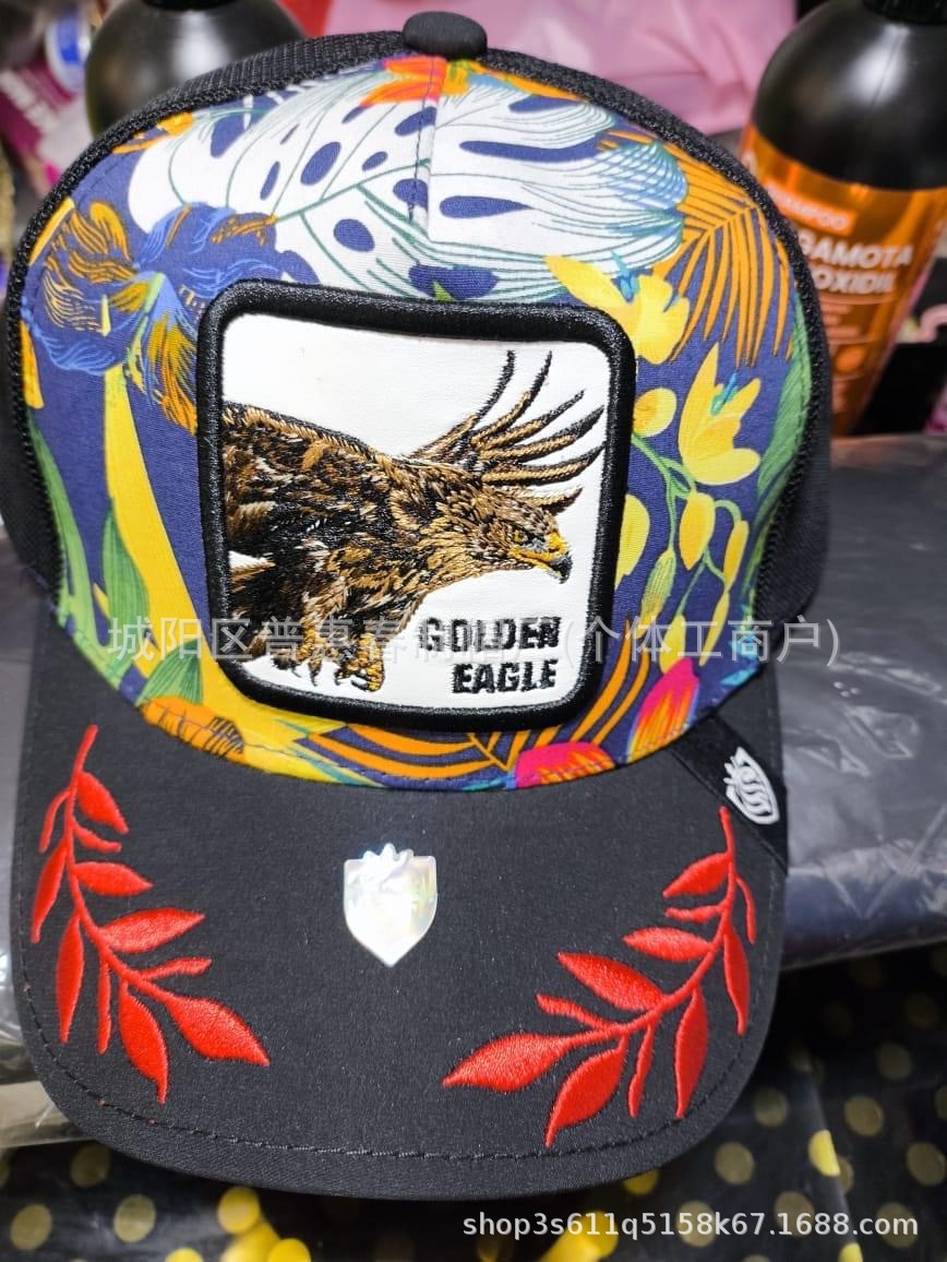 검은 뚜껑 독수리