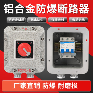 Explosion-proof circuit breaker distribution box explosion-proof air switch 10A25A32A63A control box leakage protection empty switch