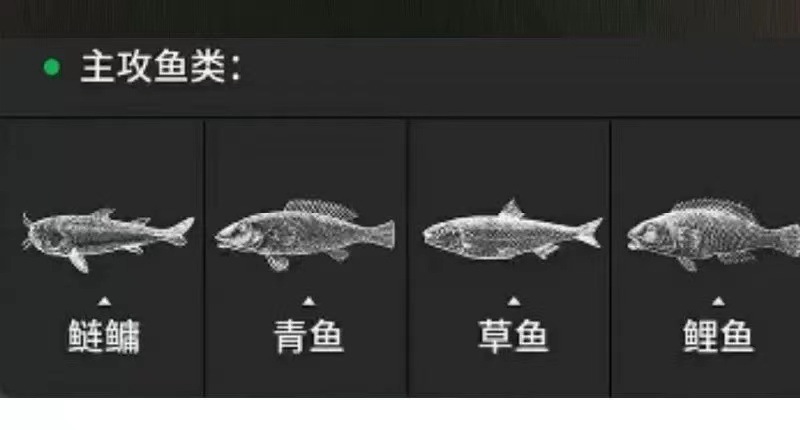 5c5631a4ff6fcdddd5c965597caaa8