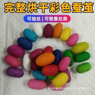 Drying silkworm cocoons - 2026 summer cocoon special | 1688 procurement encyclopedia