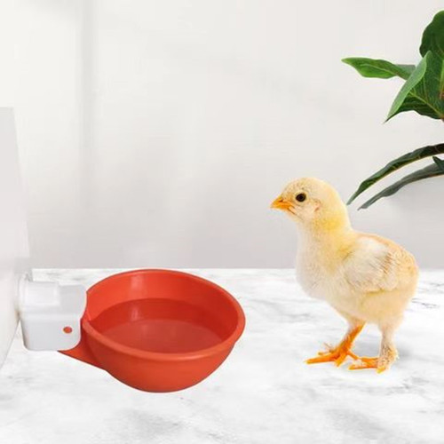 New-style chicken water bowl, automatic poultry drinking bowl, chicken drinking cup, automatic chicken drinker, chicken water dispenser—factory supply for cross-border markets