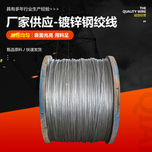 多股热镀锌钢绞线 通讯电缆用钢绞线2股 高碳钢镀锌钢绞线