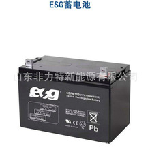 ESG늳6GFM100 12V100AH l վ 늙 UPS/EPS