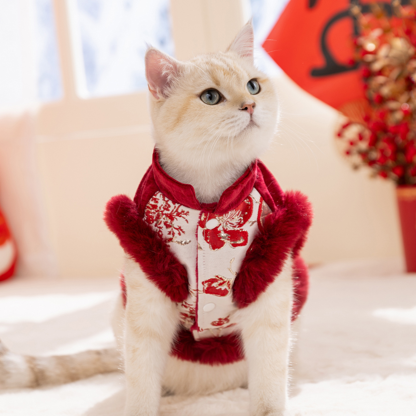 Año Nuevo, chaleco de vestir Tang impreso bordado, perros y gatos pequeños y medianos, ropa de algodón de Año Nuevo, mascotas festivas, ropa de oso