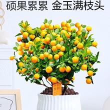 �ļ�������Ԏ�����ʳ���҃ȿ͏d�������ֲ����B��Gֲ�����辰