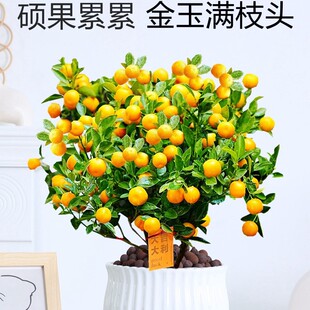 �ļ�������Ԏ�����ʳ���҃ȿ͏d�������ֲ����B��Gֲ�����辰