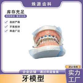 口腔保健护理牙齿模型 牙齿牙科材料 标准软托拔牙齿科模型器械