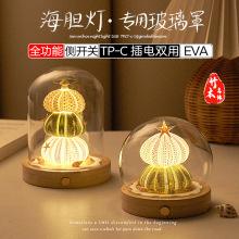 贝壳海胆灯玻璃罩圆柱球形防尘罩侧面开关EVA卡扣USB串灯插电底座