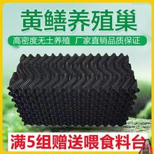 养殖黄鳝设备巢养殖人工鳝鱼养殖巢蜂窝水蛭巢穴鱼水鳝黄鳝槽板泥