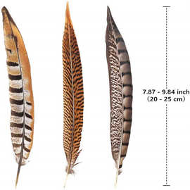 野鸡羽毛工艺品辅料地鸡尾铜鸡尾锦鸡尾厂家批发跨境热款20-25cm