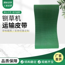 绿色草坪纹输送带PVC防滑环形带切草机打草机传送皮带耐磨运输带