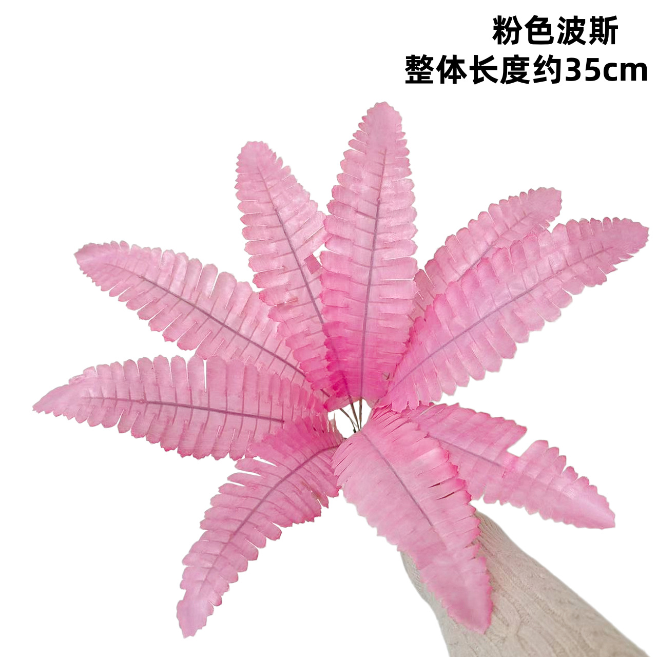 9葉ピンクペルシャ（小葉）