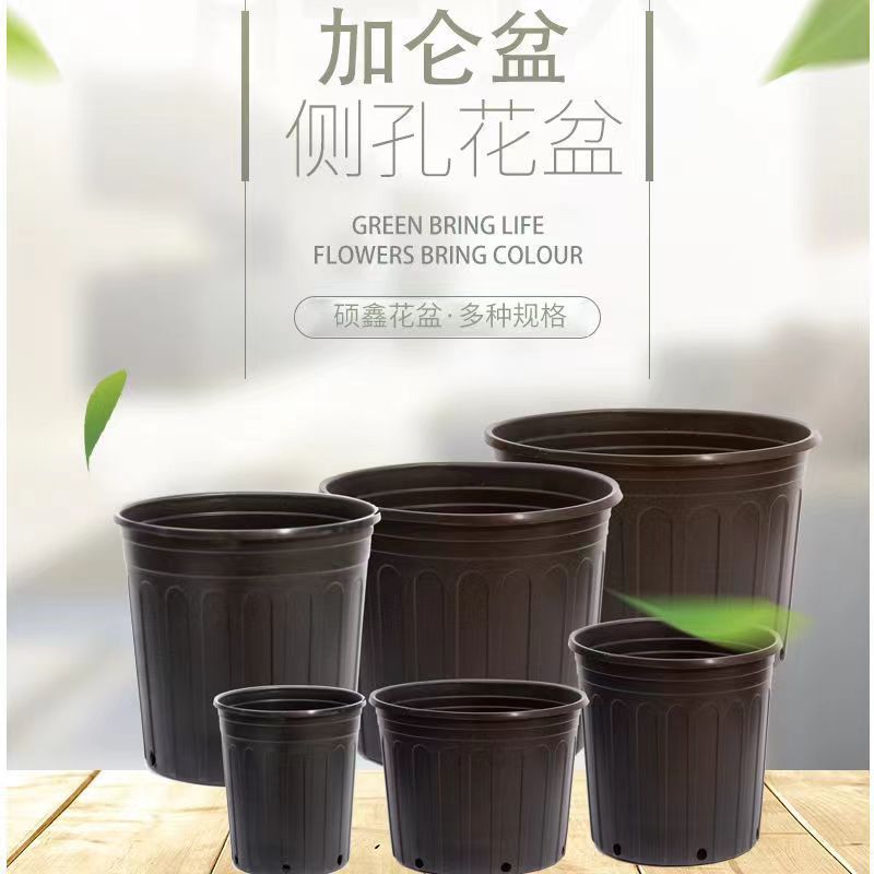 微信图片_20220430230603