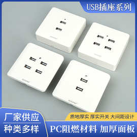 USB插座g12系列批发二孔四孔USB手机充36V转5伏工地36VUSB插座