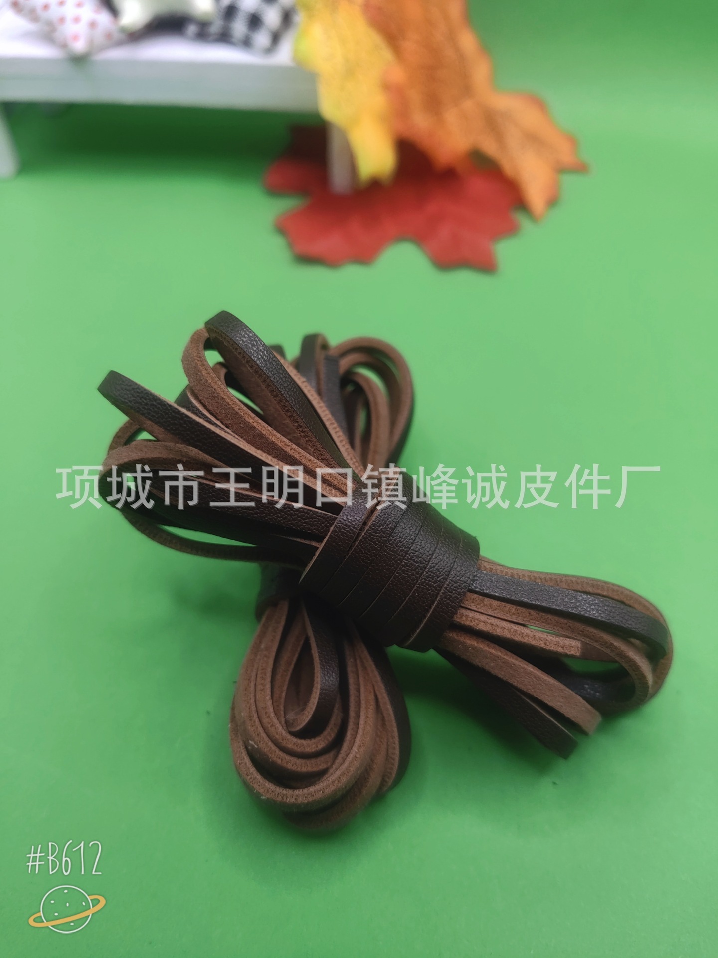 B612Kaji_20240119_203416_039