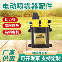 厂家供应电动喷雾器水泵手提泵水泵农用电动喷雾器水泵隔膜泵批发