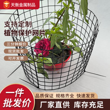 跨境供应植物保护网片园林苗木培育防护网果园苗圃花草保护网片