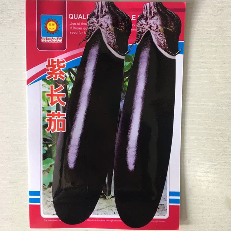 Семена баклажанов черный круглый баклажан гриль семена баклажанов высокая урожайность большой черный фиолетовый длинные виды баклажанов