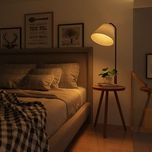 Bedside Table Lamp, Floor Lamp, Storage Rack, Second-Hand Floor Lamp, Retro Floor Lamp, Bedroom Eye Protection Lamp, Living Room Atmosphere Lamp
