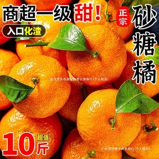 ���rˮ�������V�����]ɳ�ǽ�ɰ������ؕ�����ӽ����۽��ٶ���