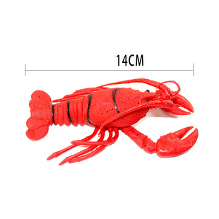 �S��ֱ�N���z���r��� �������M��s����ģ�;��^�ؔ���ͯ����