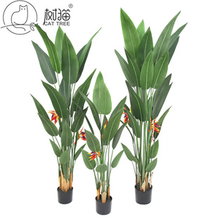 ߷BֲGֲ˽٘˽b͏dؔ[