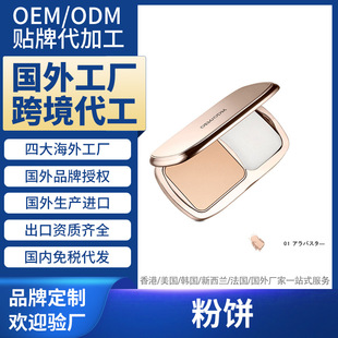 �������⹤�S���ӹ��pɫ��� Powder ����S�ҿ羳�N�ƶ���OEMODM