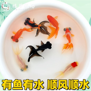 С���~��ˮ�~���B�ͻ��ͺ����Ӝض�����B����С�~�[����