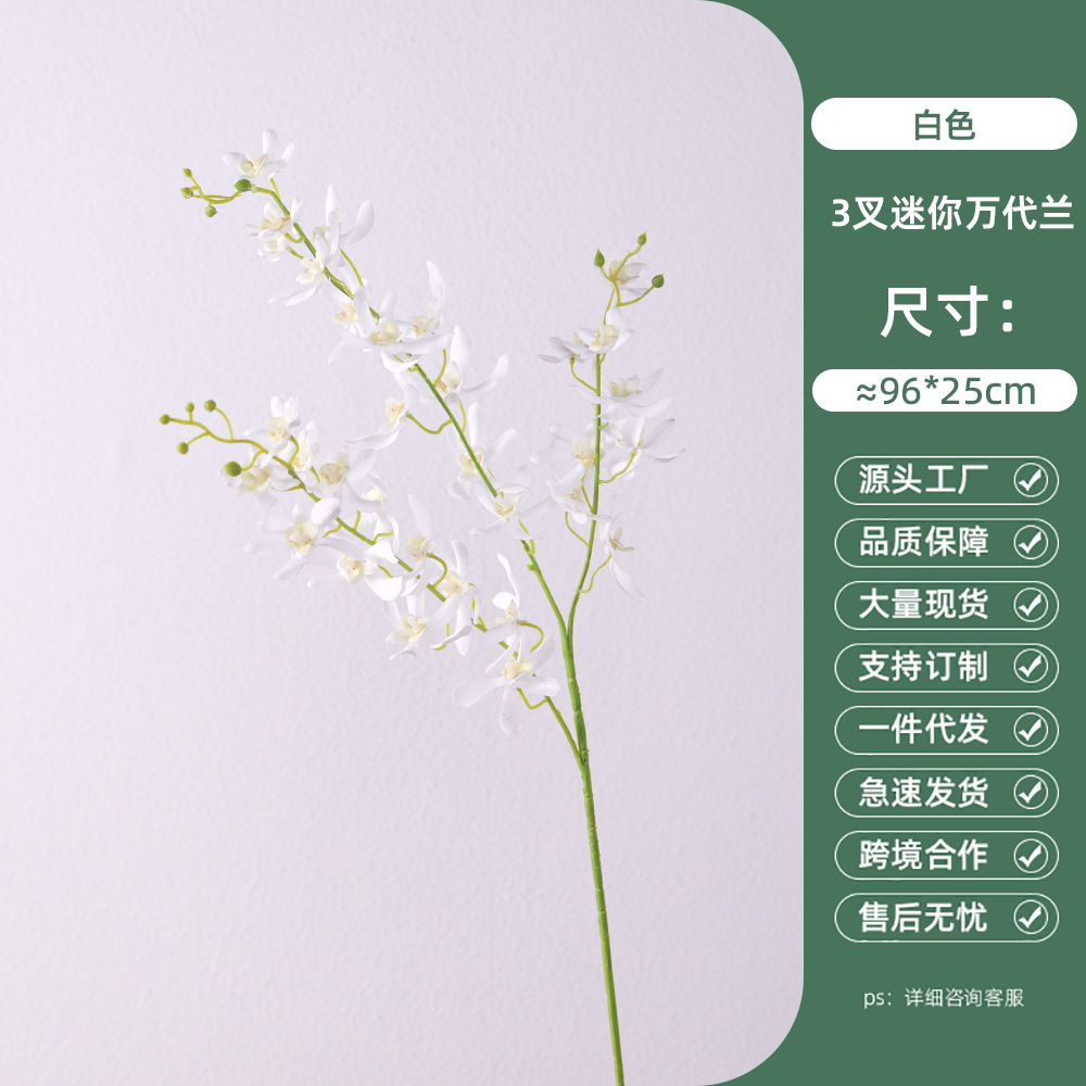 3-pronged mini cymbidium-white