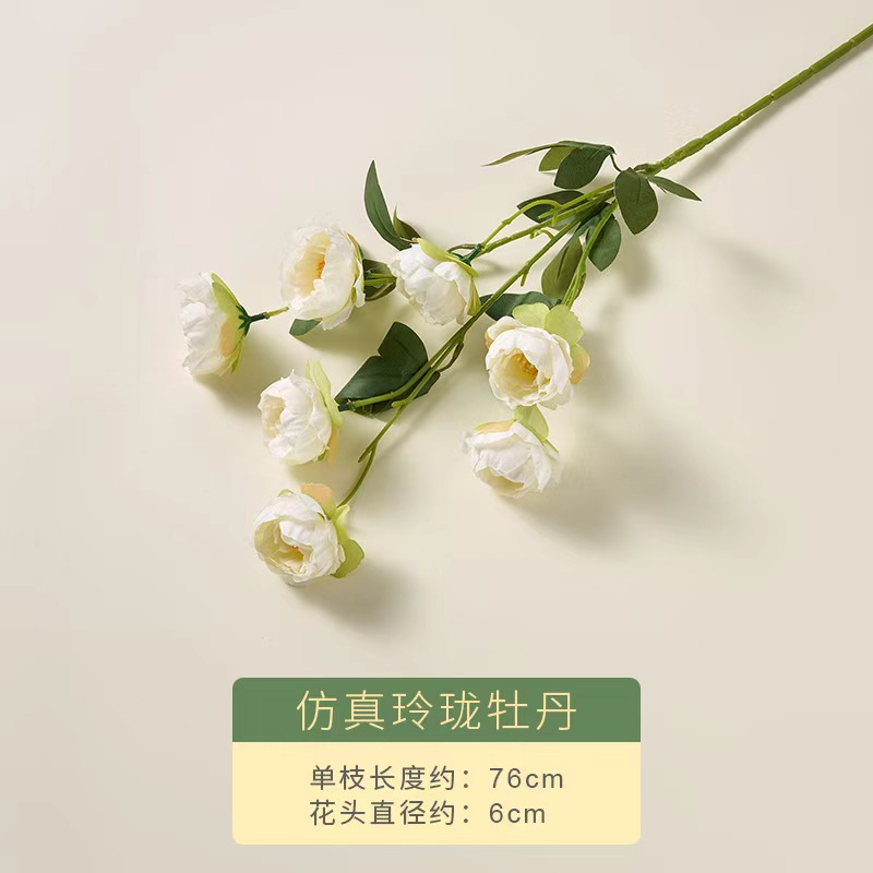 시뮬레이션된 절묘한 모란