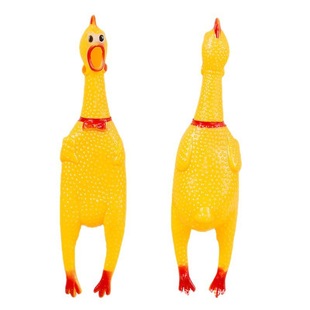 }뚢Sl؈lëq؈߹߰]