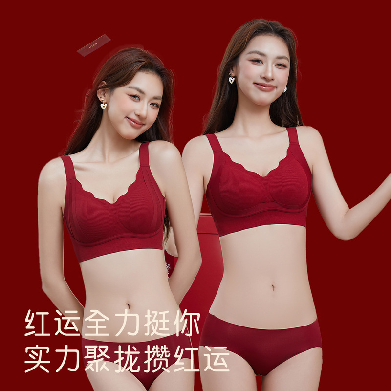 Lingerie Set for Women in Their Zodiac Year, Small Bust Push-Up, 2026 Year of the Horse New Model, Ancola Red Bra Set for Brides Lingerie Set for Women in Their Zodiac Year, Small Bust Push-Up, 2026 Year of the Horse New Model, Ancola Red Bra Set for Brides