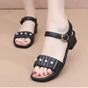 2519 black